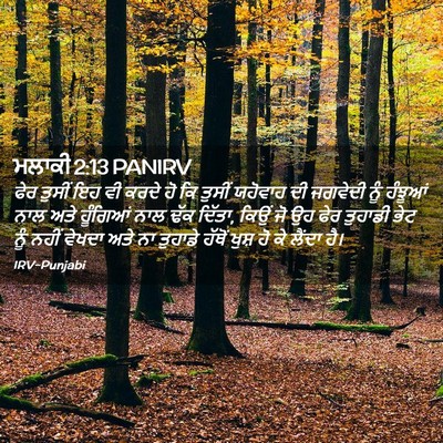 Picture 02 - ਮਲਾਕੀ 2:13 PANIRV - ਫੇਰ ਤੁਸੀਂ ਇਹ ਵੀ - Bible Verse Picture