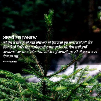 Picture 02 - ਮਲਾਕੀ 2:15 PANIRV - ਕੀ ਉਸ ਨੇ ਇੱਕ ਨੂੰ ਹੀ - Bible Verse Picture