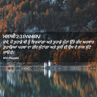 Picture 02 - ਮਲਾਕੀ 2:3 PANIRV - ਵੇਖੋ, ਮੈਂ ਤੁਹਾਡੇ ਬੀ - Bible Verse Picture