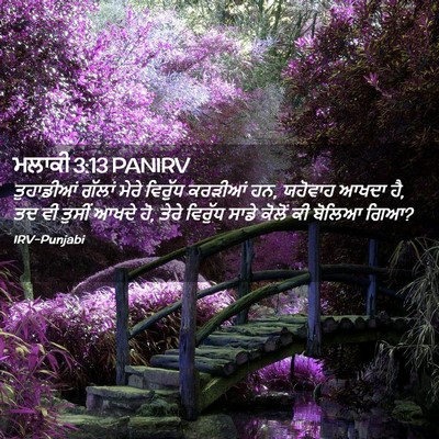 Picture 02 - ਮਲਾਕੀ 3:13 PANIRV - ਤੁਹਾਡੀਆਂ ਗੱਲਾਂ - Bible Verse Picture