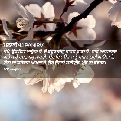 Picture 02 - ਮਲਾਕੀ 4:1 PANIRV - ਵੇਖੋ, ਉਹ ਦਿਨ ਆਉਂਦਾ - Bible Verse Picture