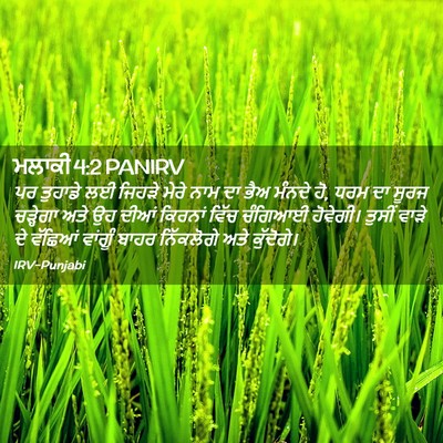 Picture 02 - ਮਲਾਕੀ 4:2 PANIRV - ਪਰ ਤੁਹਾਡੇ ਲਈ ਜਿਹੜੇ - Bible Verse Picture