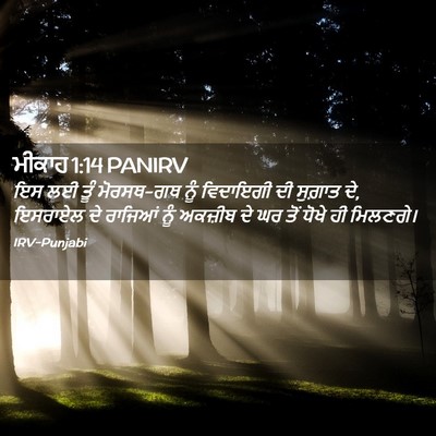Picture 02 - ਮੀਕਾਹ 1:14 PANIRV - ਇਸ ਲਈ ਤੂੰ ਮੋਰਸਥ-ਗਥ - Bible Verse Picture