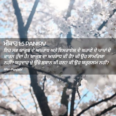 Picture 02 - ਮੀਕਾਹ 1:5 PANIRV - ਇਹ ਸਭ ਯਾਕੂਬ ਦੇ - Bible Verse Picture