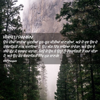 Picture 02 - ਮੀਕਾਹ 1:7 PANIRV - ਉਸ ਦੀਆਂ ਸਾਰੀਆਂ - Bible Verse Picture