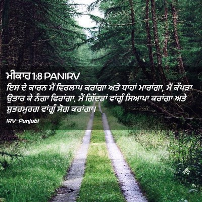 Picture 02 - ਮੀਕਾਹ 1:8 PANIRV - ਇਸ ਦੇ ਕਾਰਨ ਮੈਂ - Bible Verse Picture