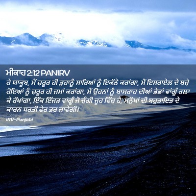 Picture 02 - ਮੀਕਾਹ 2:12 PANIRV - ਹੇ ਯਾਕੂਬ, ਮੈਂ ਜ਼ਰੂਰ - Bible Verse Picture