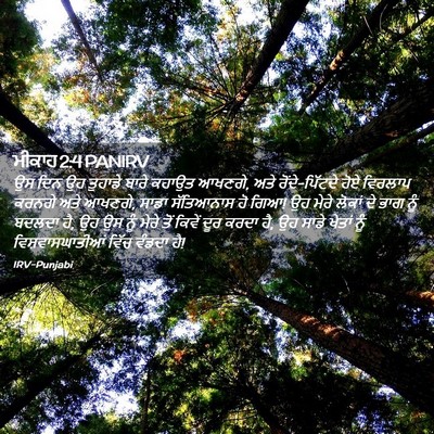Picture 02 - ਮੀਕਾਹ 2:4 PANIRV - ਉਸ ਦਿਨ ਉਹ ਤੁਹਾਡੇ - Bible Verse Picture
