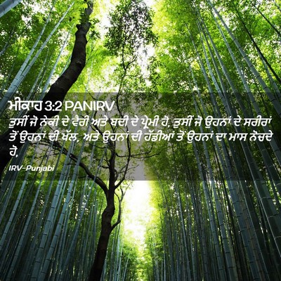 Picture 02 - ਮੀਕਾਹ 3:2 PANIRV - ਤੁਸੀਂ ਜੋ ਨੇਕੀ ਦੇ - Bible Verse Picture