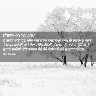 Picture 02 - ਮੀਕਾਹ 4:10 PANIRV - ਹੇ ਸੀਯੋਨ ਦੀਏ ਧੀਏ, - Bible Verse Picture