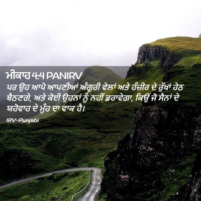 Picture 02 - ਮੀਕਾਹ 4:4 PANIRV - ਪਰ ਉਹ ਆਪੋ ਆਪਣੀਆਂ - Bible Verse Picture