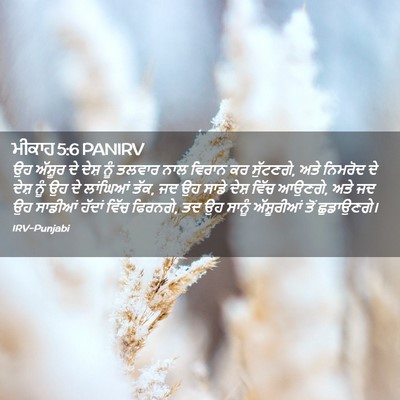 Picture 02 - ਮੀਕਾਹ 5:6 PANIRV - ਉਹ ਅੱਸ਼ੂਰ ਦੇ ਦੇਸ਼ - Bible Verse Picture