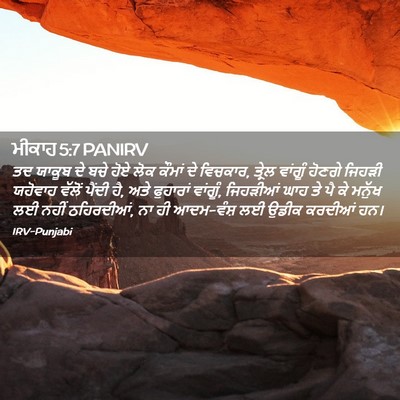 Picture 02 - ਮੀਕਾਹ 5:7 PANIRV - ਤਦ ਯਾਕੂਬ ਦੇ ਬਚੇ ਹੋਏ - Bible Verse Picture