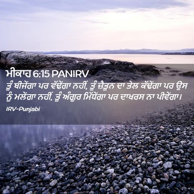 Picture 02 - ਮੀਕਾਹ 6:15 PANIRV - ਤੂੰ ਬੀਜੇਂਗਾ ਪਰ - Bible Verse Picture