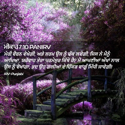 Picture 02 - ਮੀਕਾਹ 7:10 PANIRV - ਮੇਰੀ ਵੈਰਨ ਵੇਖੇਗੀ, - Bible Verse Picture