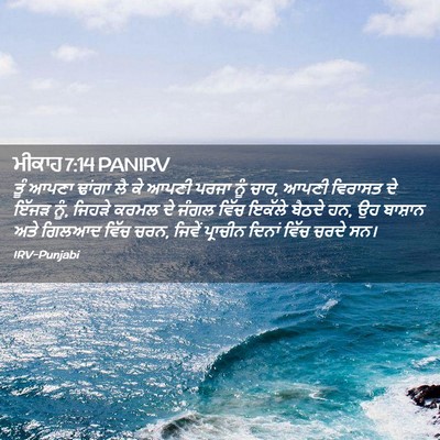 Picture 02 - ਮੀਕਾਹ 7:14 PANIRV - ਤੂੰ ਆਪਣਾ ਢਾਂਗਾ ਲੈ - Bible Verse Picture