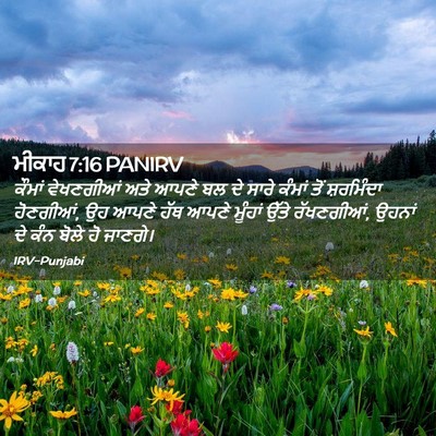 Picture 02 - ਮੀਕਾਹ 7:16 PANIRV - ਕੌਮਾਂ ਵੇਖਣਗੀਆਂ - Bible Verse Picture