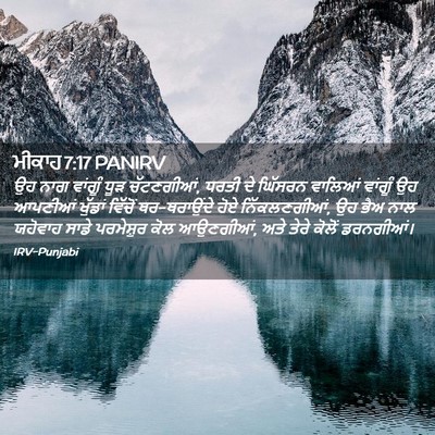 Picture 02 - ਮੀਕਾਹ 7:17 PANIRV - ਉਹ ਨਾਗ ਵਾਂਗੂੰ ਧੂੜ - Bible Verse Picture