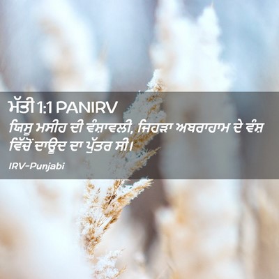 Picture 02 - ਮੱਤੀ 1:1 PANIRV - ਯਿਸੂ ਮਸੀਹ ਦੀ - Bible Verse Picture