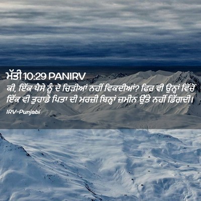 Picture 02 - ਮੱਤੀ 10:29 PANIRV - ਕੀ, ਇੱਕ ਪੈਸੇ ਨੂੰ ਦੋ - Bible Verse Picture