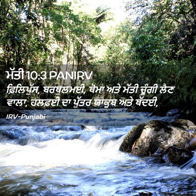 Picture 02 - ਮੱਤੀ 10:3 PANIRV - ਫ਼ਿਲਿਪੁੱਸ, - Bible Verse Picture