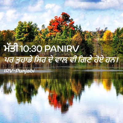 Picture 02 - ਮੱਤੀ 10:30 PANIRV - ਪਰ ਤੁਹਾਡੇ ਸਿਰ ਦੇ - Bible Verse Picture
