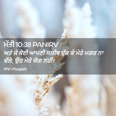 Picture 02 - ਮੱਤੀ 10:38 PANIRV - ਅਤੇ ਜੇ ਕੋਈ ਆਪਣੀ - Bible Verse Picture