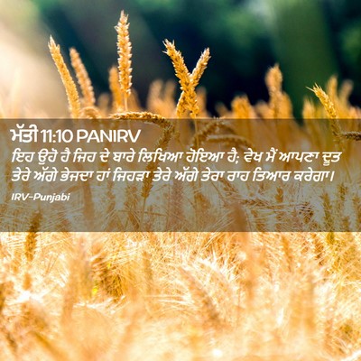 Picture 02 - ਮੱਤੀ 11:10 PANIRV - ਇਹ ਉਹੋ ਹੈ ਜਿਹ ਦੇ - Bible Verse Picture
