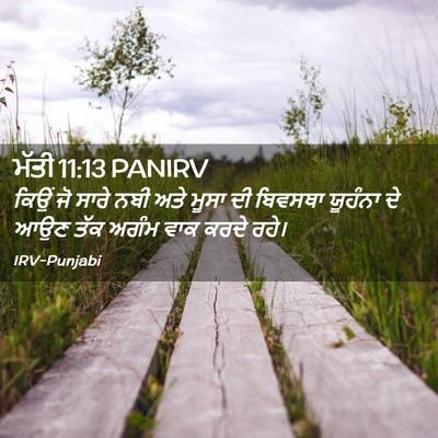 Picture 02 - ਮੱਤੀ 11:13 PANIRV - ਕਿਉਂ ਜੋ ਸਾਰੇ ਨਬੀ - Bible Verse Picture