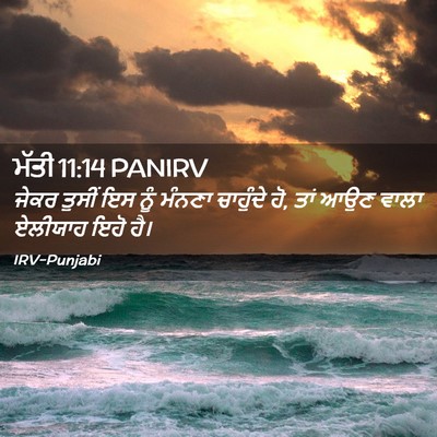 Picture 02 - ਮੱਤੀ 11:14 PANIRV - ਜੇਕਰ ਤੁਸੀਂ ਇਸ ਨੂੰ - Bible Verse Picture