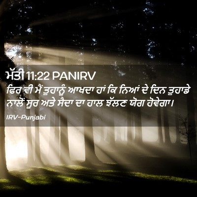 Picture 02 - ਮੱਤੀ 11:22 PANIRV - ਫਿਰ ਵੀ ਮੈਂ ਤੁਹਾਨੂੰ - Bible Verse Picture