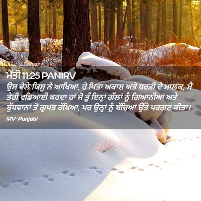 Picture 02 - ਮੱਤੀ 11:25 PANIRV - ਉਸ ਵੇਲੇ ਯਿਸੂ ਨੇ - Bible Verse Picture