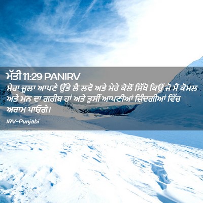 Picture 02 - ਮੱਤੀ 11:29 PANIRV - ਮੇਰਾ ਜੂਲਾ ਆਪਣੇ - Bible Verse Picture