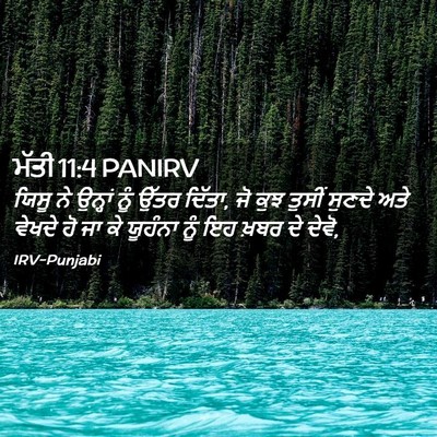Picture 02 - ਮੱਤੀ 11:4 PANIRV - ਯਿਸੂ ਨੇ ਉਨ੍ਹਾਂ ਨੂੰ - Bible Verse Picture