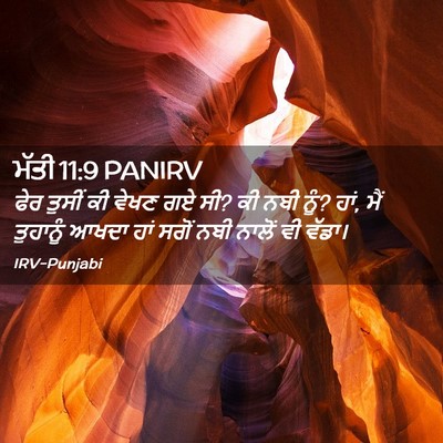 Picture 02 - ਮੱਤੀ 11:9 PANIRV - ਫੇਰ ਤੁਸੀਂ ਕੀ ਵੇਖਣ - Bible Verse Picture