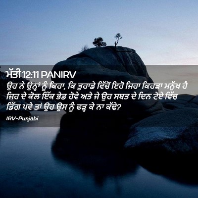Picture 02 - ਮੱਤੀ 12:11 PANIRV - ਉਹ ਨੇ ਉਨ੍ਹਾਂ ਨੂੰ - Bible Verse Picture