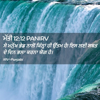 Picture 02 - ਮੱਤੀ 12:12 PANIRV - ਸੋ ਮਨੁੱਖ ਭੇਡ ਨਾਲੋਂ - Bible Verse Picture