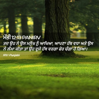 Picture 02 - ਮੱਤੀ 12:13 PANIRV - ਤਦ ਉਹ ਨੇ ਉਸ ਮਨੁੱਖ - Bible Verse Picture