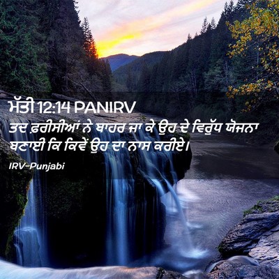 Picture 02 - ਮੱਤੀ 12:14 PANIRV - ਤਦ ਫ਼ਰੀਸੀਆਂ ਨੇ - Bible Verse Picture