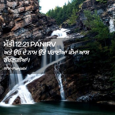 Picture 02 - ਮੱਤੀ 12:21 PANIRV - ਅਤੇ ਉਹ ਦੇ ਨਾਮ ਉੱਤੇ - Bible Verse Picture