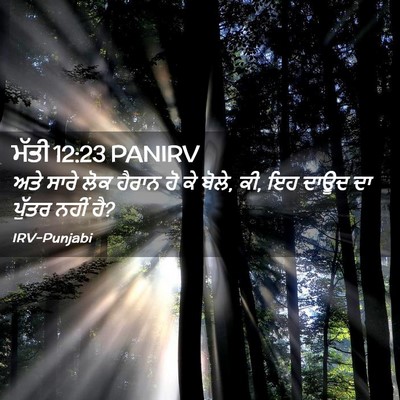 Picture 02 - ਮੱਤੀ 12:23 PANIRV - ਅਤੇ ਸਾਰੇ ਲੋਕ ਹੈਰਾਨ - Bible Verse Picture