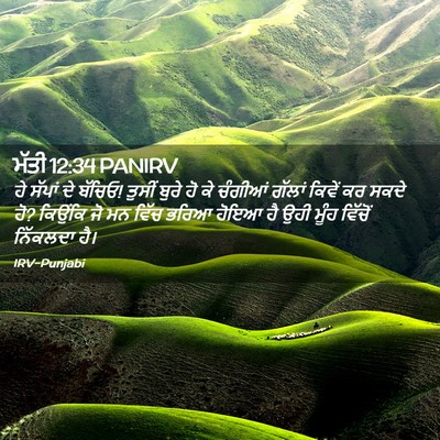 Picture 02 - ਮੱਤੀ 12:34 PANIRV - ਹੇ ਸੱਪਾਂ ਦੇ ਬੱਚਿਓ! - Bible Verse Picture