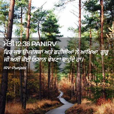 Picture 02 - ਮੱਤੀ 12:38 PANIRV - ਫਿਰ ਕੁਝ ਉਪਦੇਸ਼ਕਾਂ - Bible Verse Picture