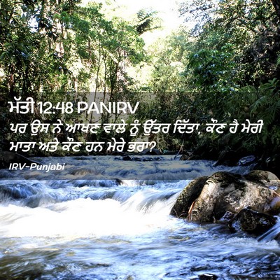 Picture 02 - ਮੱਤੀ 12:48 PANIRV - ਪਰ ਉਸ ਨੇ ਆਖਣ ਵਾਲੇ - Bible Verse Picture