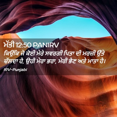 Picture 02 - ਮੱਤੀ 12:50 PANIRV - ਕਿਉਂਕਿ ਜੋ ਕੋਈ ਮੇਰੇ - Bible Verse Picture