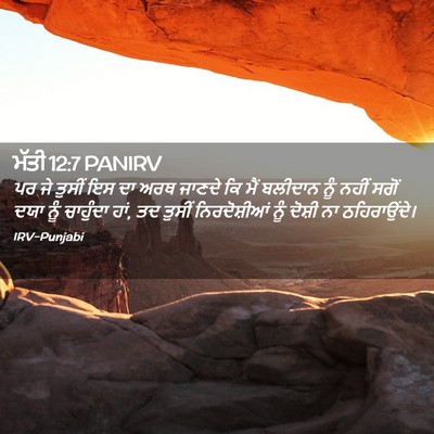 Picture 02 - ਮੱਤੀ 12:7 PANIRV - ਪਰ ਜੇ ਤੁਸੀਂ ਇਸ ਦਾ - Bible Verse Picture