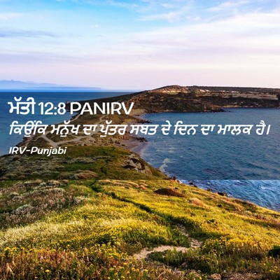 Picture 02 - ਮੱਤੀ 12:8 PANIRV - ਕਿਉਂਕਿ ਮਨੁੱਖ ਦਾ - Bible Verse Picture
