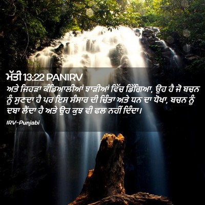 Picture 02 - ਮੱਤੀ 13:22 PANIRV - ਅਤੇ ਜਿਹੜਾ - Bible Verse Picture
