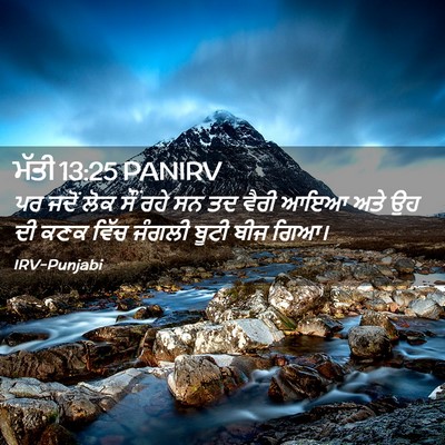 Picture 02 - ਮੱਤੀ 13:25 PANIRV - ਪਰ ਜਦੋਂ ਲੋਕ ਸੌਂ ਰਹੇ - Bible Verse Picture