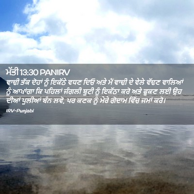 Picture 02 - ਮੱਤੀ 13:30 PANIRV - ਵਾਢੀ ਤੱਕ ਦੋਹਾਂ ਨੂੰ - Bible Verse Picture